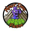 montdogfarm avatar