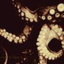 montereygay-ao3 avatar