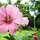 monthswithoutuploading avatar