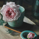 monydsanty-blog avatar