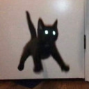 moochogooseto avatar