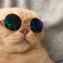 moodalwaysrainy avatar