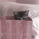 moodybluemoon avatar