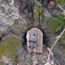 mookerimungeri avatar