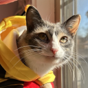 moomie-mooger avatar