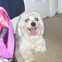 moon-child-1997 avatar