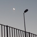 moon-fence avatar