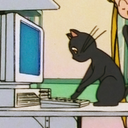 moon-kitty-palace avatar