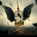 moon-light-31 avatar