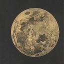 moon-on-a-golden-thread avatar