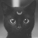 moon-tidee-blog avatar