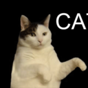 moonadventures-blog avatar