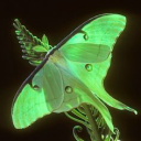 moonbeamcollective avatar