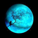 moonbeamnights avatar