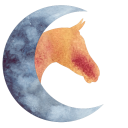 moonchildash-sims avatar