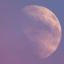 moonchildthingss avatar