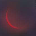 moonchildtings avatar