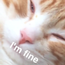 moondropkitty avatar