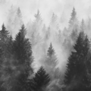 mooneunri-blog avatar