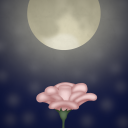 moonflower-official avatar