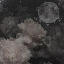 moonflowerv avatar