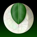 moonleafacadamy avatar