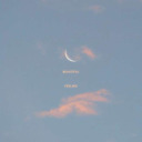 moonlessnight404 avatar