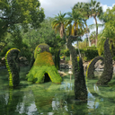 moonlight-delights avatar