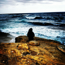 moonlight-flower98 avatar