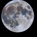 moonlight-gaby avatar