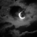 moonlightags2 avatar