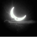 moonlightdesiresblog avatar