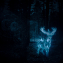 moonlightgiirll avatar