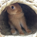 moonlightlvsg21 avatar