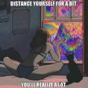 moonlightmime avatar