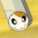 moonlightnova avatar