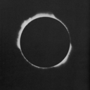 moonlightsummer avatar