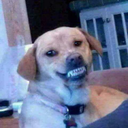 moonligthbabee-blog avatar