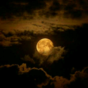 moonling7 avatar