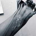 moonlitjournal avatar