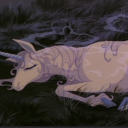 moonlitmonocerus avatar