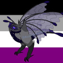 moonlitphoenixflight avatar