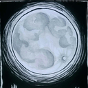 moonmagictarot avatar