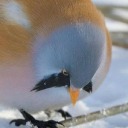 moonmoonmadeablog avatar