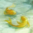 moononmyfloor avatar