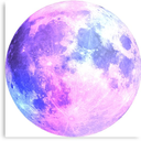 moonrise-adventure avatar