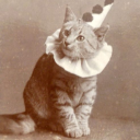 moonrisedaydream avatar