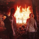 moonshine-and-strawberries avatar