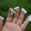 moonshinefreeze avatar