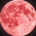 moonsoonseason avatar